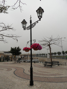 SAM_0727.JPG