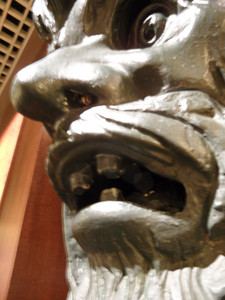 SAM_0795.JPG