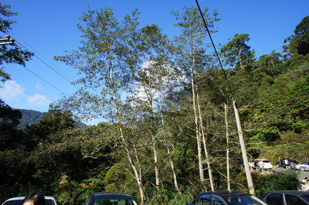 DSC00461.JPG