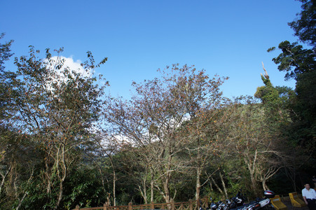 DSC00465.JPG