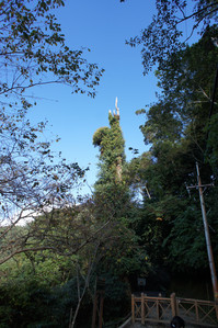 DSC00466.JPG