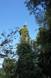 DSC00467.JPG