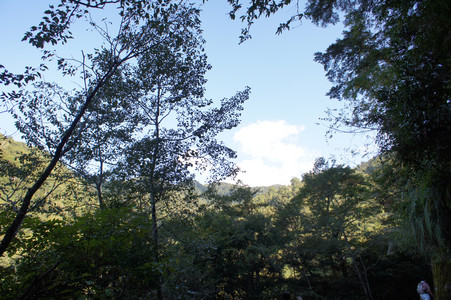 DSC00472.JPG