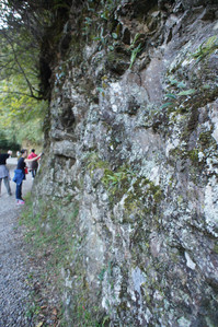 DSC00474.JPG