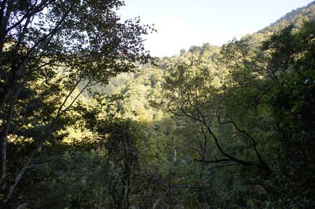 DSC00475.JPG