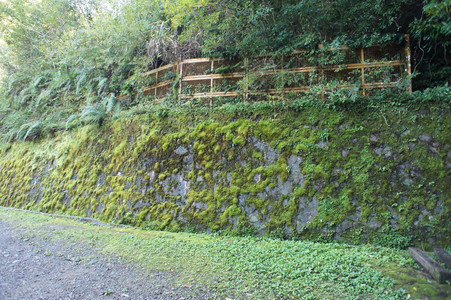 DSC00476.JPG
