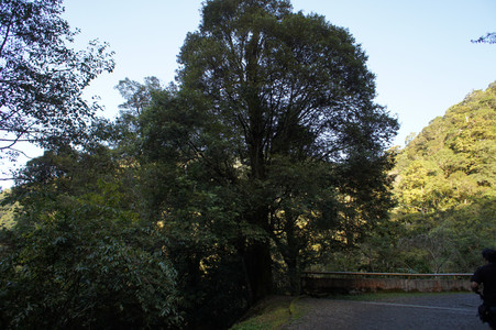 DSC00478.JPG
