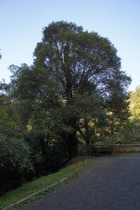 DSC00479.JPG