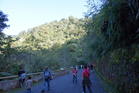 DSC00480.JPG