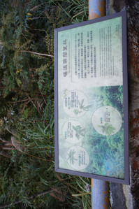 DSC00482.JPG