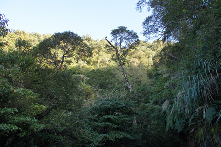 DSC00484.JPG