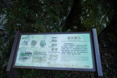 DSC00486.JPG