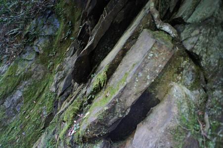 DSC00488.JPG