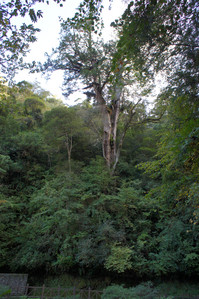 DSC00489.JPG
