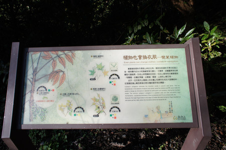 DSC00501.JPG