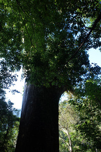 DSC00506.JPG
