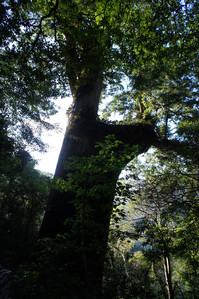 DSC00507.JPG