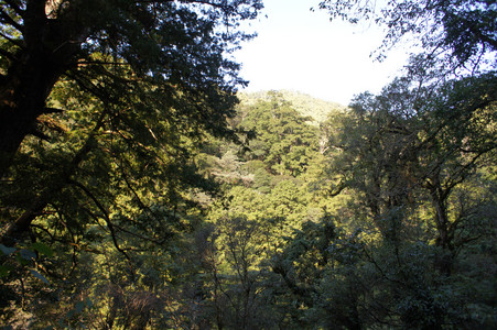 DSC00512.JPG