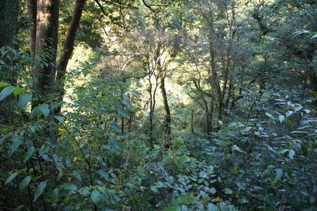 DSC00513.JPG