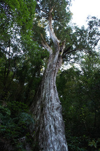 DSC00515.JPG