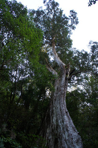 DSC00516.JPG
