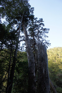 DSC00520.JPG