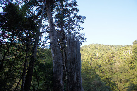DSC00521.JPG