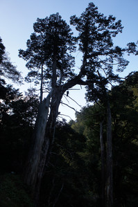 DSC00523.JPG