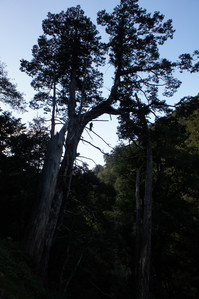 DSC00524.JPG