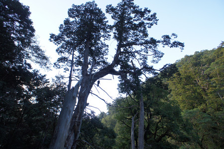 DSC00525.JPG