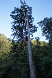 DSC00526.JPG