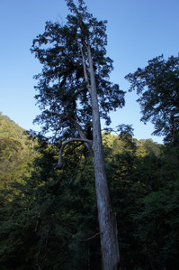 DSC00527.JPG