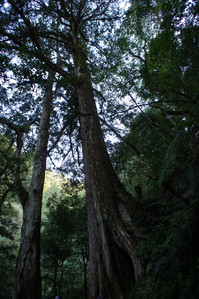 DSC00532.JPG