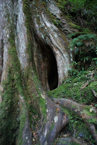 DSC00536.JPG