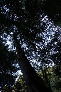 DSC00537.JPG