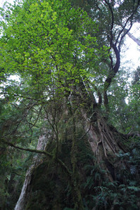 DSC00540.JPG
