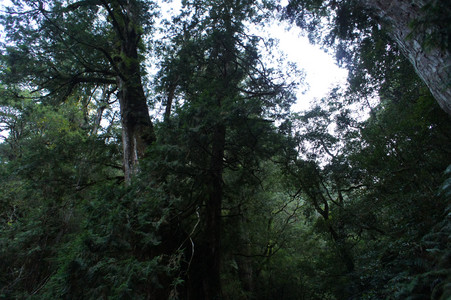 DSC00543.JPG