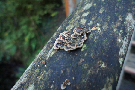 DSC00547.JPG