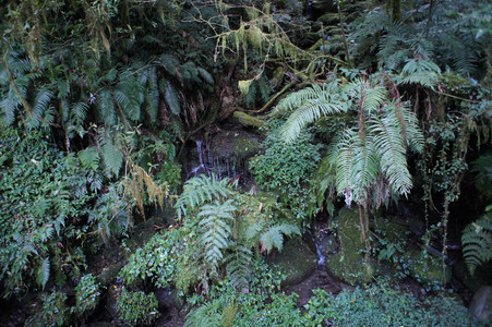 DSC00552.JPG