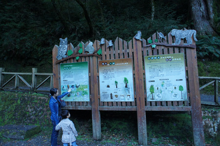 DSC00555.JPG