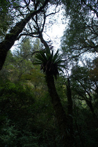 DSC00565.JPG