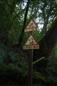 DSC00575.JPG
