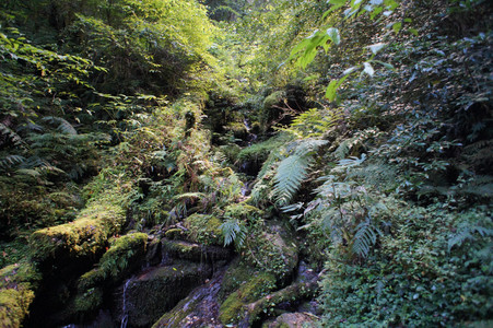 DSC00577.JPG