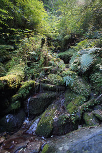 DSC00578.JPG