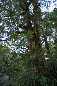 DSC00581.JPG