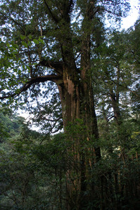 DSC00582.JPG