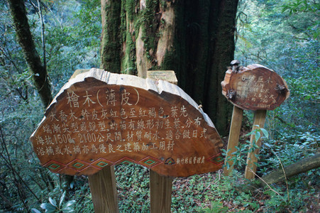 DSC00586.JPG