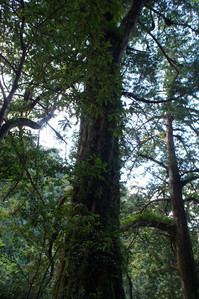DSC00591.JPG