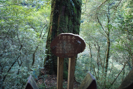 DSC00593.JPG