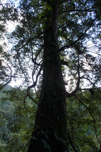 DSC00594.JPG